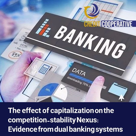 The effect of capitalization on the competition-stability Nexus: Evidence from dual banking systems